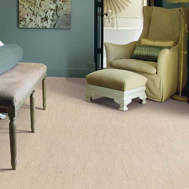 Caress Carpet by Shaw in Shrewsbury, PA