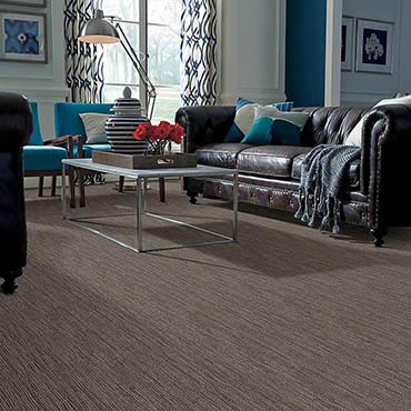 Anso® Nylon Carpet | Shrewsbury, PA